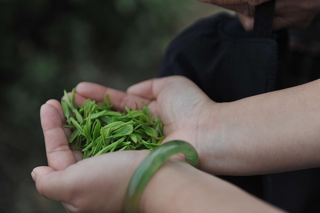 Hands preparing a tea ceremony with minimalist teaware